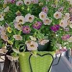 Home Apartment Giardini Naxos