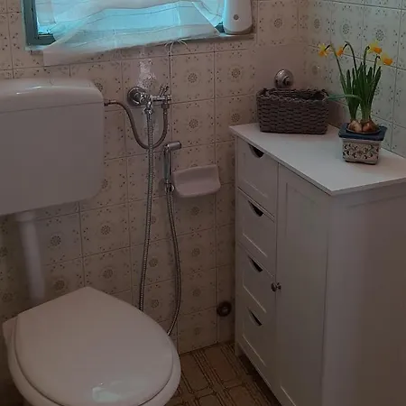 Apartment Home